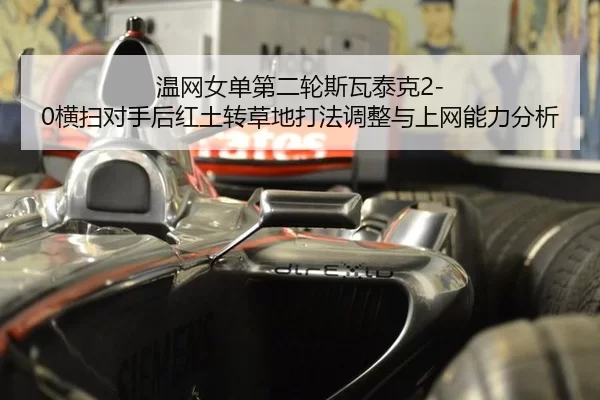 wen-wang-nv-dan-di-er-lun-si-wa-tai-ke-heng-sao-dui-shou-hou-hong-tu-zhuan-cao-di-da-fa-tiao-zheng-yu-shang-wang-neng-2-551.jpg